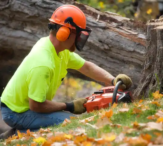 tree services Gowanda